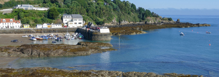 Frühlingserwachen auf Jersey