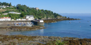 Frühlingserwachen auf Jersey