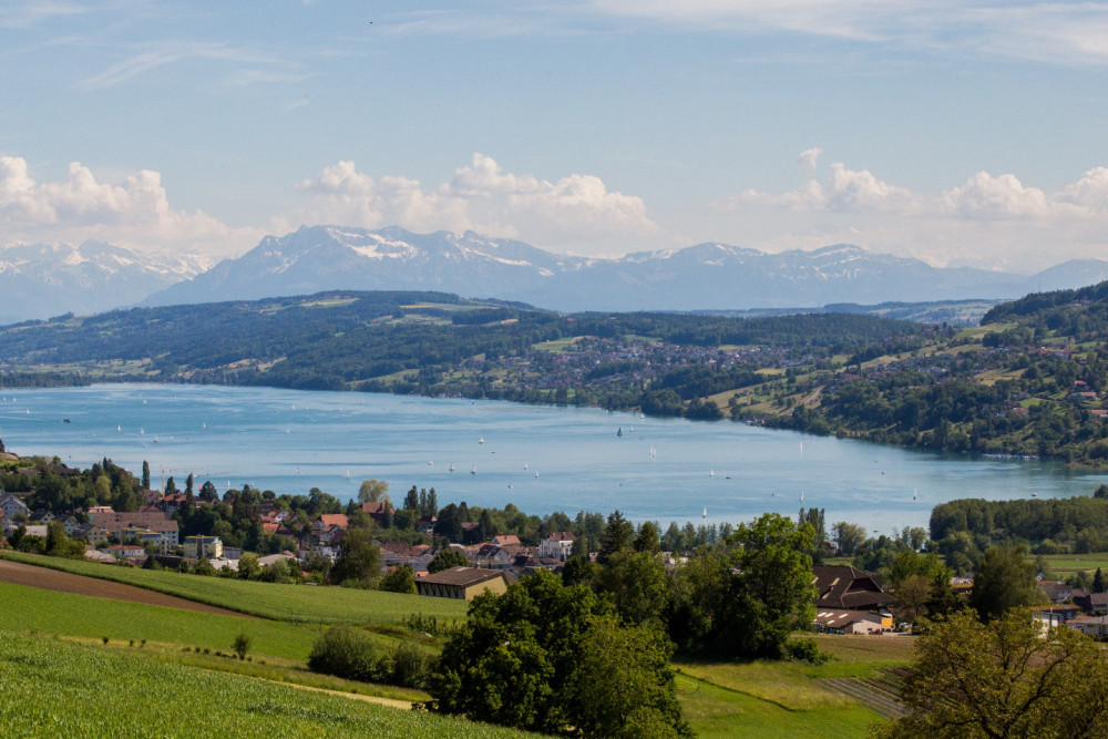 Wandertag Hallwilersee