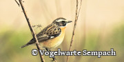Postzentrum und Vogelwarte