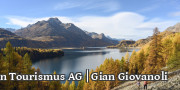 Engadin im Lärchengold