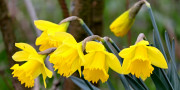 Frühlingsreise ins Blaue