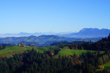 Wildwandern Thalgraben