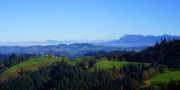 Wildwandern Thalgraben