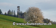 Wandertag Frienisberg - Chutzenturm