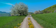 Wandertag Buechibärg